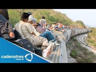 Migrantes arriesgan su vida viajando en la 'Bestia' para poder llegar a EU