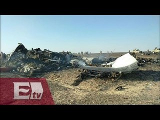 Posible atentado en accidente aéreo de Egipto / Francisco Zea
