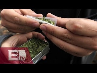 Corte debate sobre el uso terapéutico de la marihuana/ Vianey Esquinca