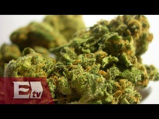 Exdiputado del PRD y fundador de SMART hablan a favor de legalizar la marihuana