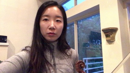 Dirty socks/Old sea Turtle