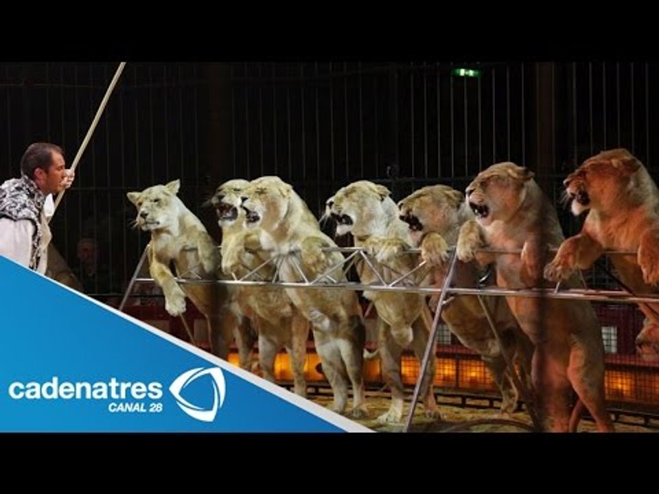 GDF publica en gaceta oficial del DF ley que prohíbe uso de animales en circos
