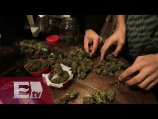 GDF impulsará el consumo de la mariguana con fines medicinales / Francisco Zea