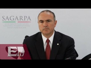 Secretario de Agricultura sobre los apoyos tras "Patricia"/ Vianey Esquinca