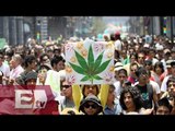¿Qué pasa con la legalización de la marihuana en Mexico? / Ricardo Salas