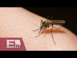 Detectan casos del virus Zika en Chiapas y Nuevo León / Vianey Esquinca