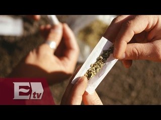 INE, a favor de consulta ciudadana sobre la marihuana / Francisco Zea