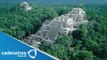 Reserva de Calakmul fue nombrado por la UNESCO patrimonio de la humanidad