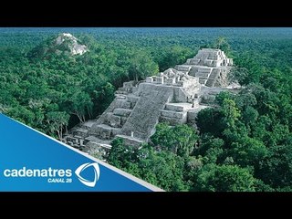 Reserva de Calakmul fue nombrado por la UNESCO patrimonio de la humanidad
