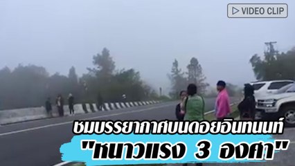 ชมบรรยากาศบนดอยอินทนนท์ "หนาวแรง 3 องศา"