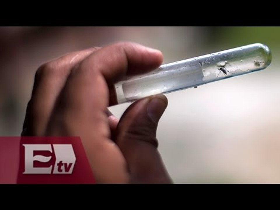 Nuevo León toma medidas preventivas ante primer caso de Zika/ Atalo Ma