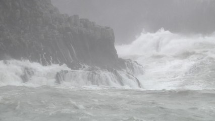 빠르게 북상 중인 '콩레이'...직접 영향 언제? / YTN