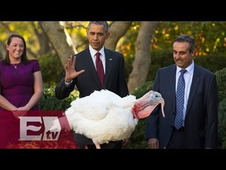 Download Video: Obama indulta a pareja de pavos previo al Día de Acción de Gracias/ Vianey Esquinca