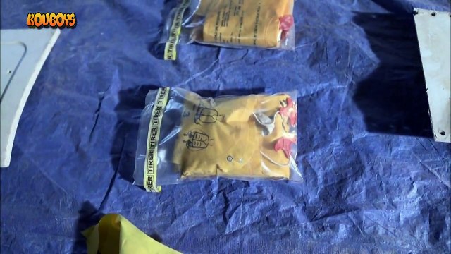 Uçak Kazası Raporu Kaybolan Uçak (Air France 447)