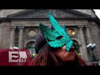 Senado instala consejo técnico para regulación de la marihuana / Francisco Zea