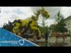 Enorme dragón mecánico invade Francia / Huge dragon invades France