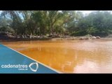 Contaminación del río Sonora afecta a agricultores