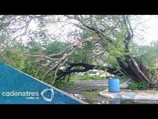 Turbonada provoca daños en El Puerto y Boca del Río Veracruz