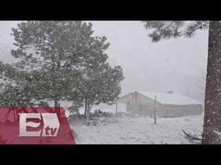 Alerta en el norte de México por intensas nevadas / Pascal Beltrán