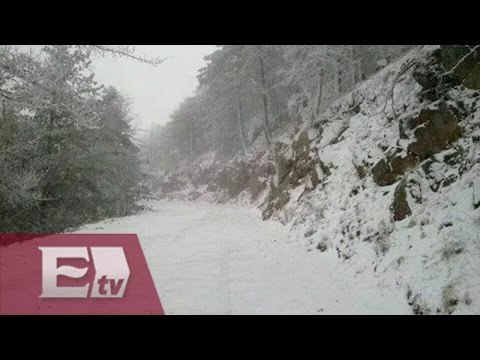 6 muertos por bajas temperaturas en el norte de México / Francisco Zea