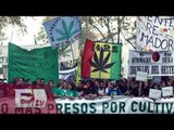 El impacto que generarìa en el mundo la legalización de la marihuana / Opiniones Encontradas