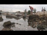 Aparecen miles de peces muertos en el arroyo El infiernillo en Mazatlán