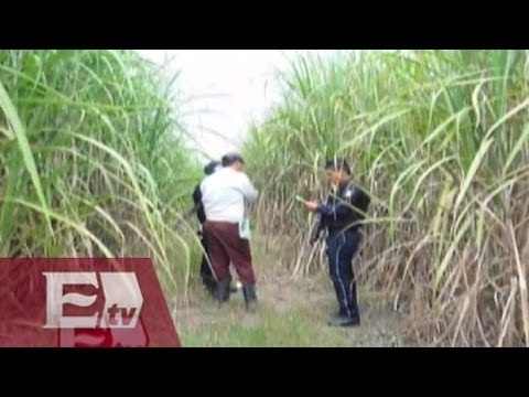 Cuerpos hallados en barranco no son de desaparecidos en Tierra Blanca, Veracruz/ Vianey Esquinca