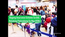 New Insurance Scheme To Protect HSWs In UAE Starting This Month