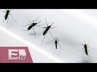 Sedesol y SS trabajan conjuntamente para combatir el Zika / Ricardo Salas