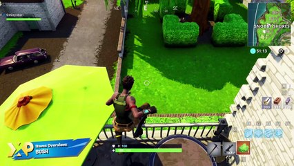 Fortnite: Battle Royale Items - Bush