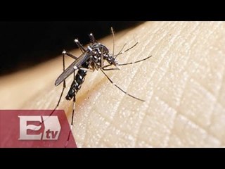OMS dice que el virus Zika podría extenderse por todo el Continente Americano / Martín Espinoza