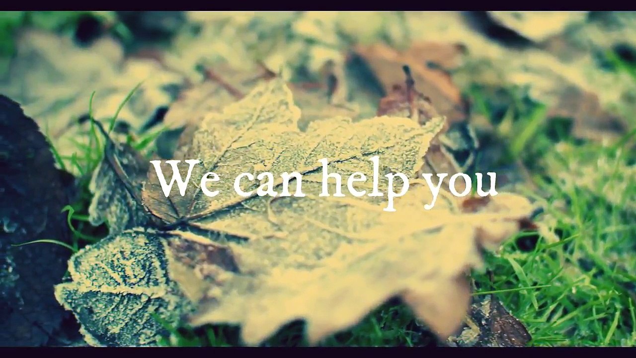 New Hampshire Auto Shipping Service | A-1 Auto Transport, Inc.