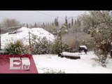 Nieve cubre de blanco varios municipios de Nuevo León/ Vianey Esquinca