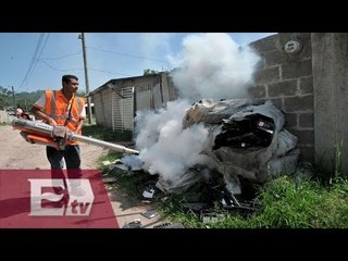 Inician fumigaciones para combatir el virus Zika en Colombia / Ricardo Salas