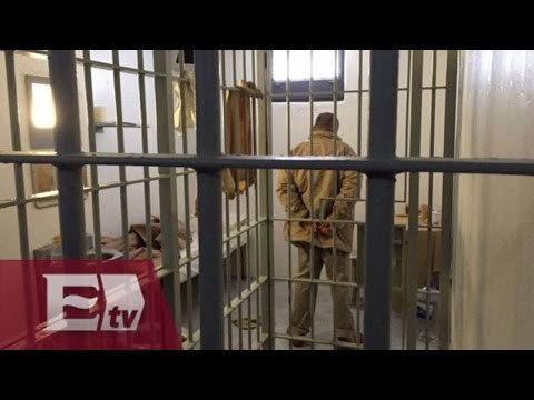 Juez ordena detener tortura contra Guzmán Loera/ Hiram Hurtado