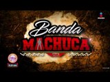 ¡La Banda Pequeños Musical en Banda Machuca! | Sale el Sol