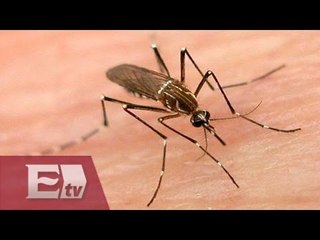 Confirman 5 casos de Zika en Nueva York / Ricardo Salas