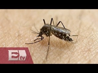 Refuerzan medidas para prevenir el zika en México / Yuriria Sierra