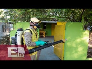 Fumigan calles de Colombia para evitar contagio de virus Zika / Martín Espinoza