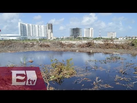 Colegio de Biólogos de México y el caso Malecón Tajamar / Pascal Beltrán