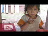 Sufre desnutrición 1.6 % de la población infantil en México / Paola Virrueta