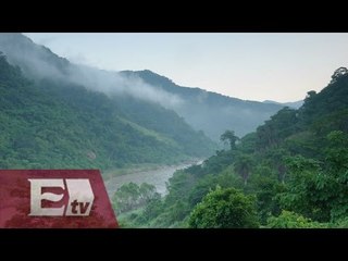 Advierten sobre posible devastación ecológica en San Pedro Mezquital, Nayarit/ Vianey Esquinca