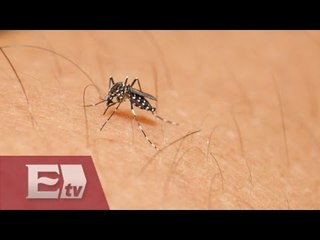¿Qué ha pasado con el virus del Zika? / Mariana H