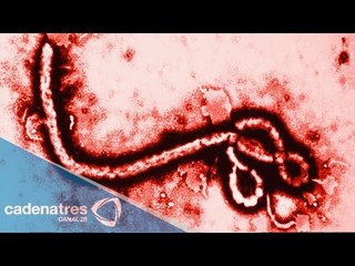 La Secretaría de Salud descarto posible caso de ébola en México