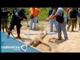 Qué ha pasado en Guerrero tras el secuestro y supuesto asesinato de normalistas