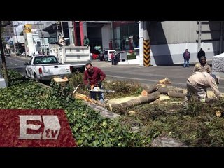 Saldo blanco por fuertes vientos en la CDMX / Ricardo Salas