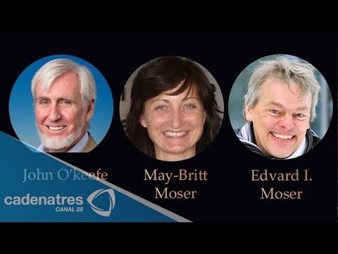 Trío gana el Premio Nobel de Medicina