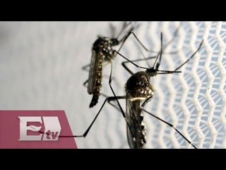Ya son 143 casos de zika en México / Mariana H