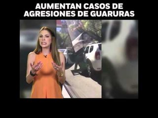 ¿Qué van a hacer las autoridades con estos casos de ‘guaruras’? En opinión de Kimberly Armengol