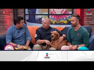 De rescates y celebraciones de vida tras terremoto | Sale el Sol